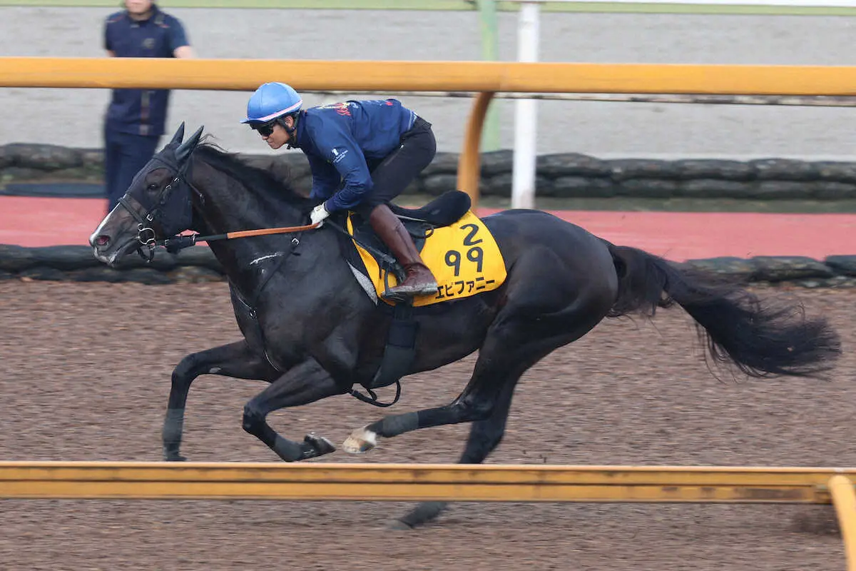 杉原誠人が騎乗し、栗東CWコースを軽快に駆け抜けたエピファニー