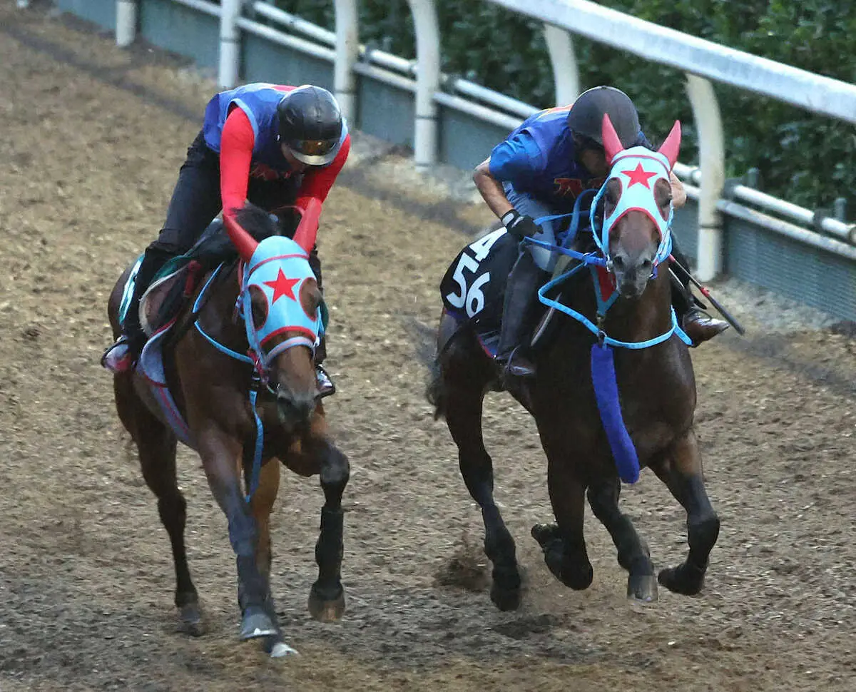 坂路をオニマル（左）と併せ馬で追い切るサトノフェニックス