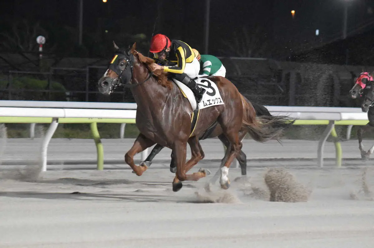 13日のサマーナイト賞で6連勝を決めたムエックス