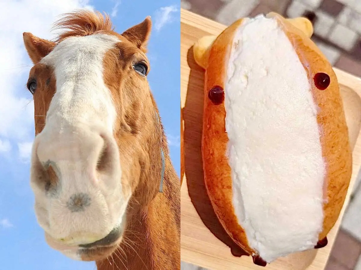 オウケンブルースリをモチーフにした「うまコッペ　アチョーくん」（うらかわ優駿ビレッジAERU提供）