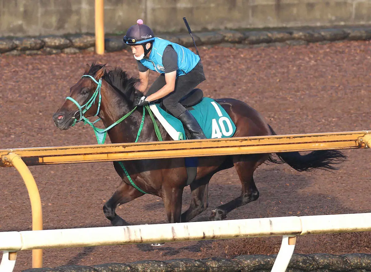直線鋭く伸びたトータルクラリティ