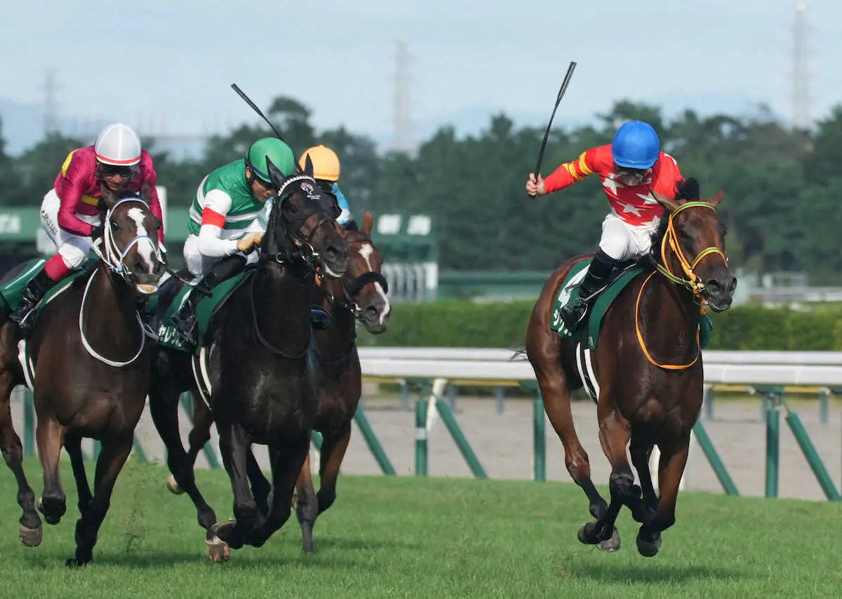 ＜新潟記念＞接戦を制したシンリョクカ（右端）が初タイトルを獲得（撮影・郡司　修）