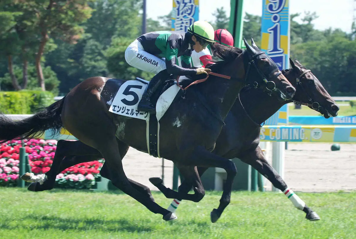 ＜新潟5R新馬戦＞レースを制したエンジェルマーク（手前）（撮影・郡司　修）