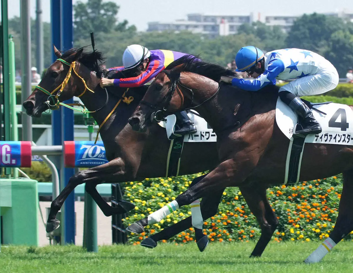 ＜中山5R＞レースを制したハードワーカー（左）＝撮影・郡司　修
