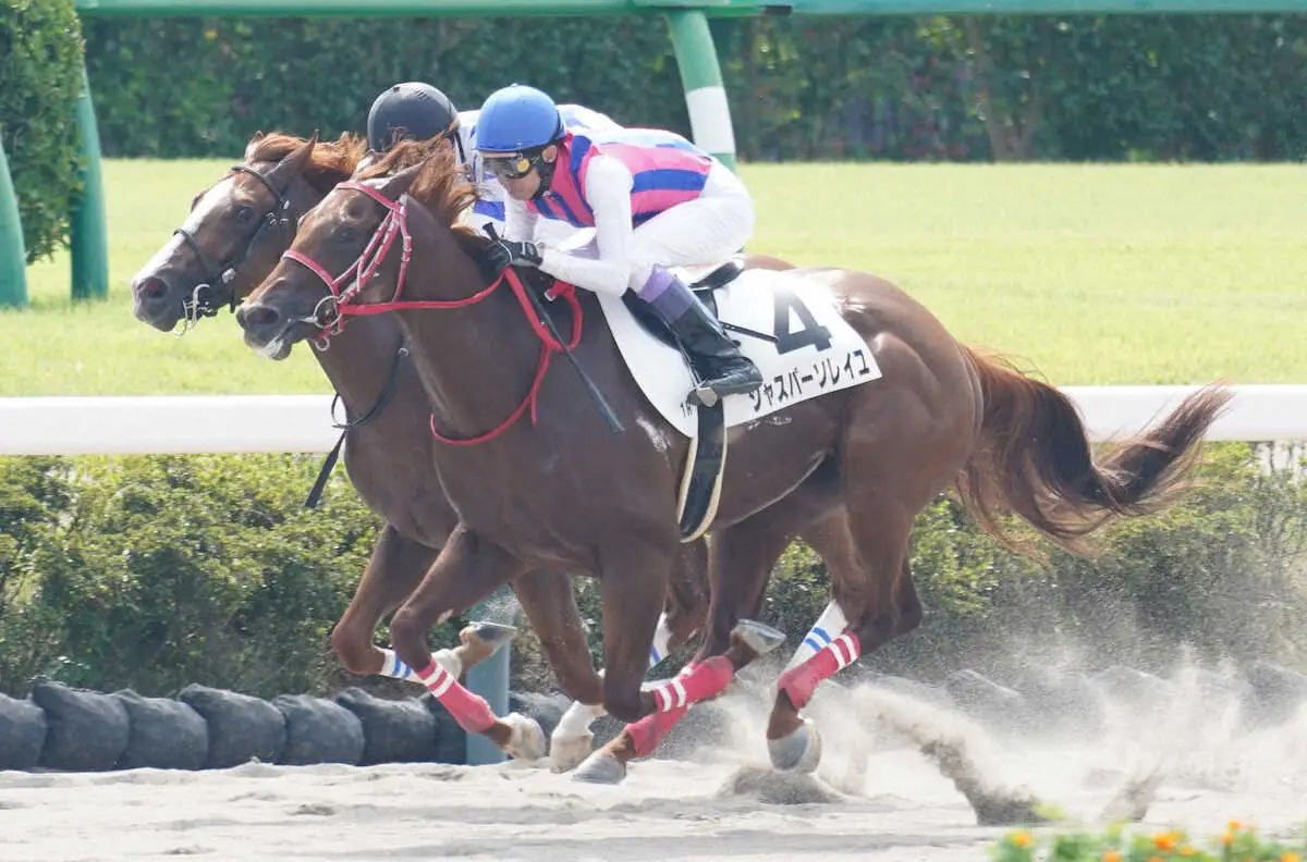 ＜中山1R＞レースを制したジャスパーソレイユ（撮影・村上　大輔）