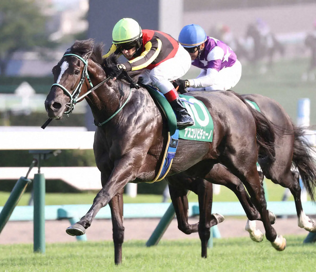 ＜京成杯AH＞レースを制したアスコリピチェーノ（撮影・村上　大輔）