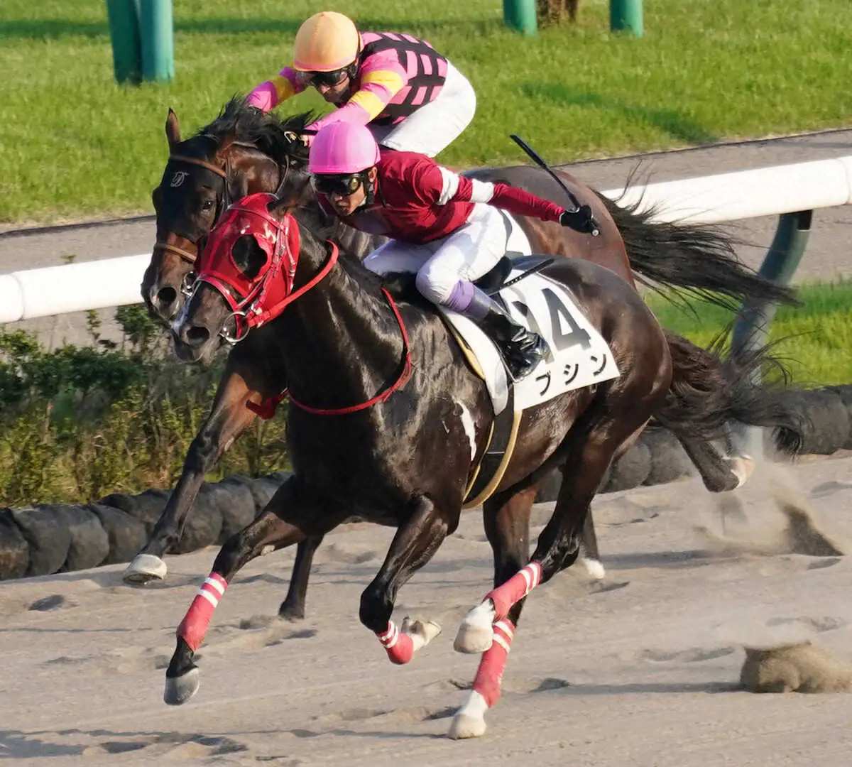 ＜中山12R＞レースを制したブシン（撮影・村上　大輔）