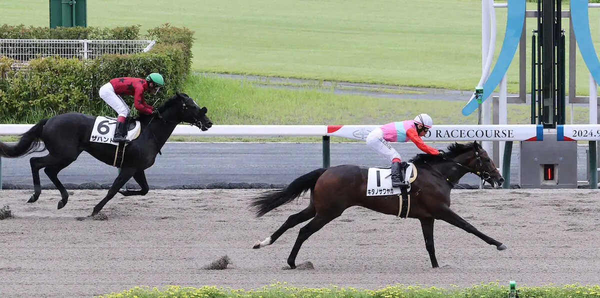 ＜中京4R・2歳新馬＞ゴール前で抜け出し勝利した池添騎乗のキタノサワヤカ（右）（撮影・椎名　航）