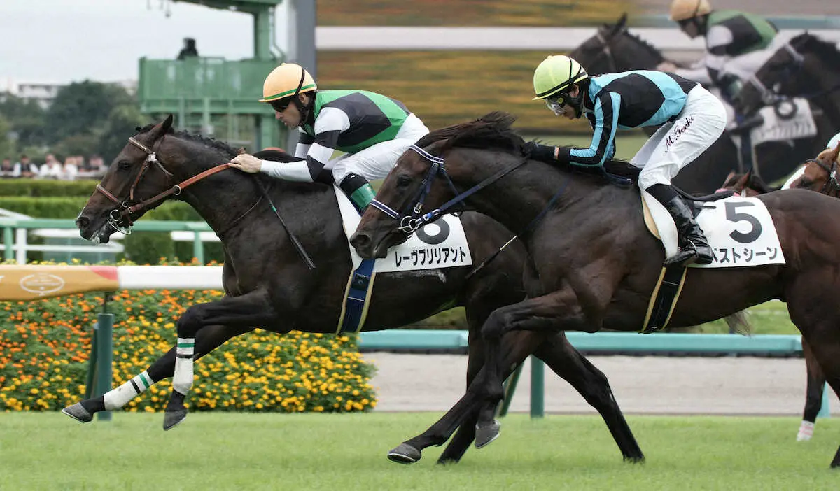 ＜中山5R新馬戦＞レースを制したレーヴブリリアント（撮影・郡司　修）