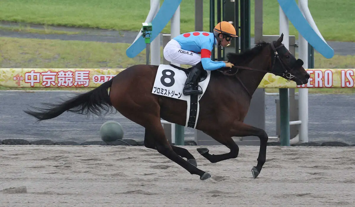 ＜中京4R＞直線で抜け出し勝利するプロミストジーン（撮影・亀井　直樹）　