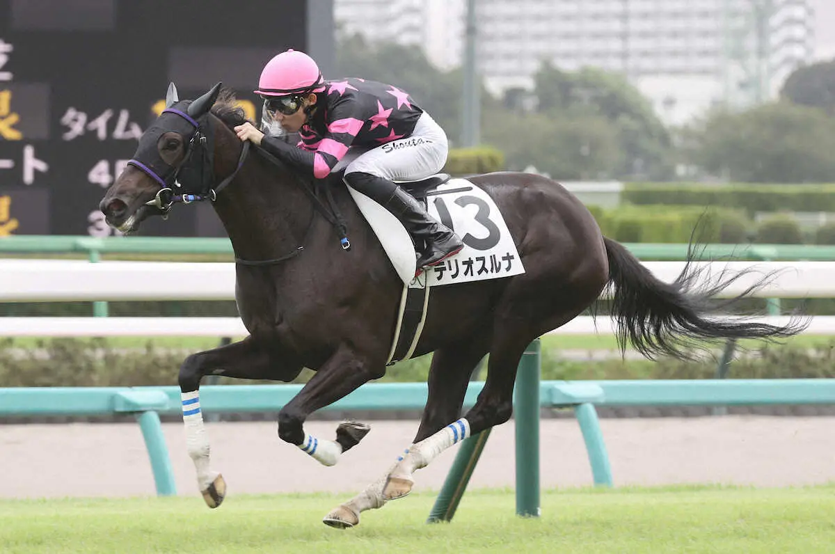 ＜中山5R＞新馬戦を制したテリオスルナ（撮影・村上　大輔）