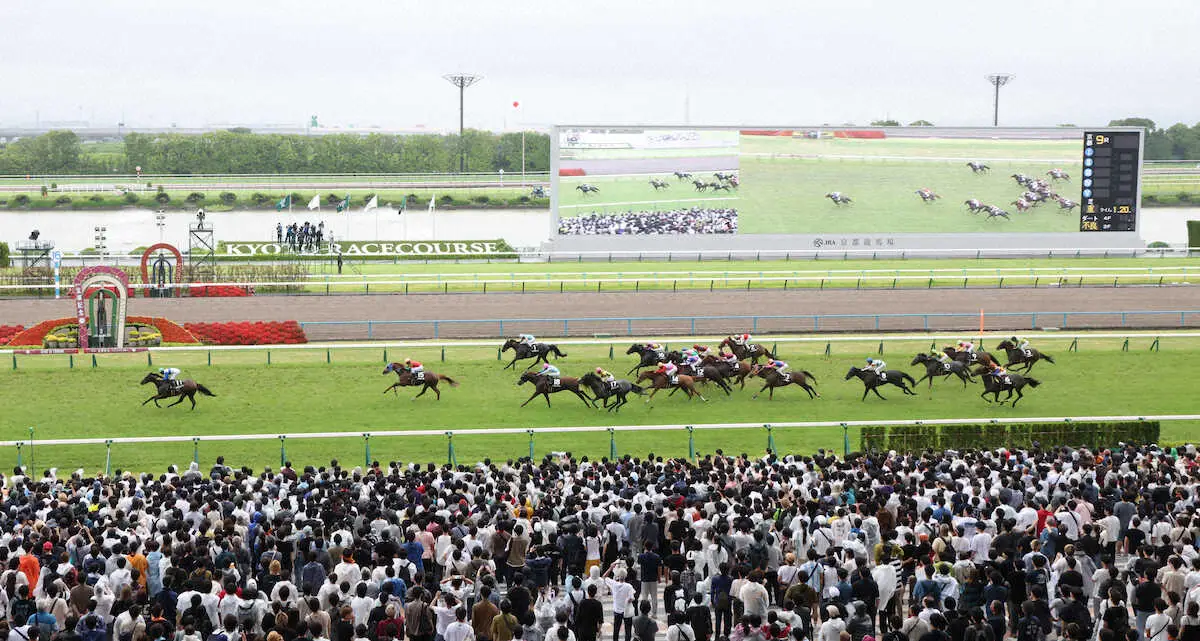 ブローザホーンが制した今年の宝塚記念