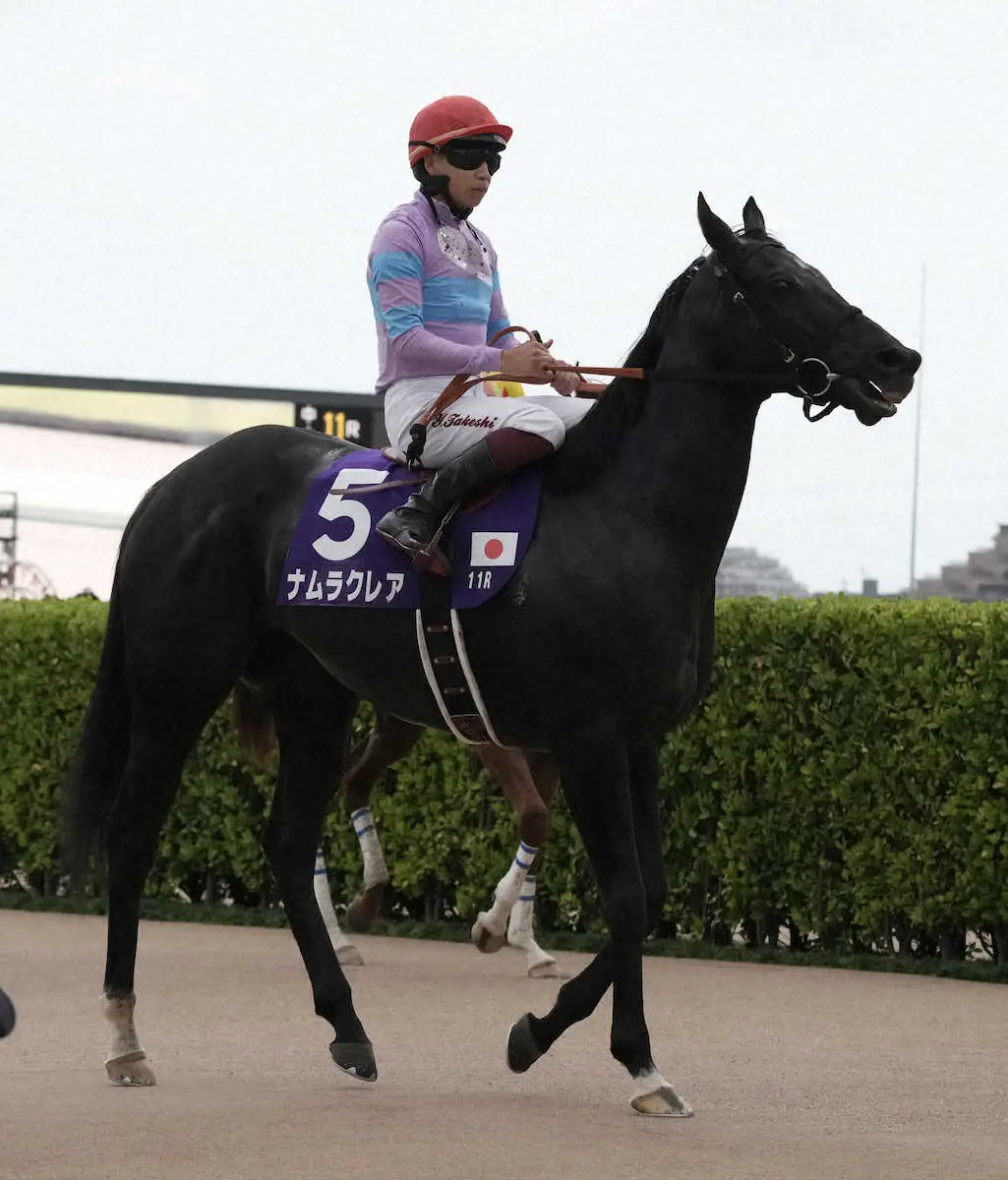 ＜中山11RスプリンターズS＞3着でレースを終えたナムラクレア（撮影・郡司　修）