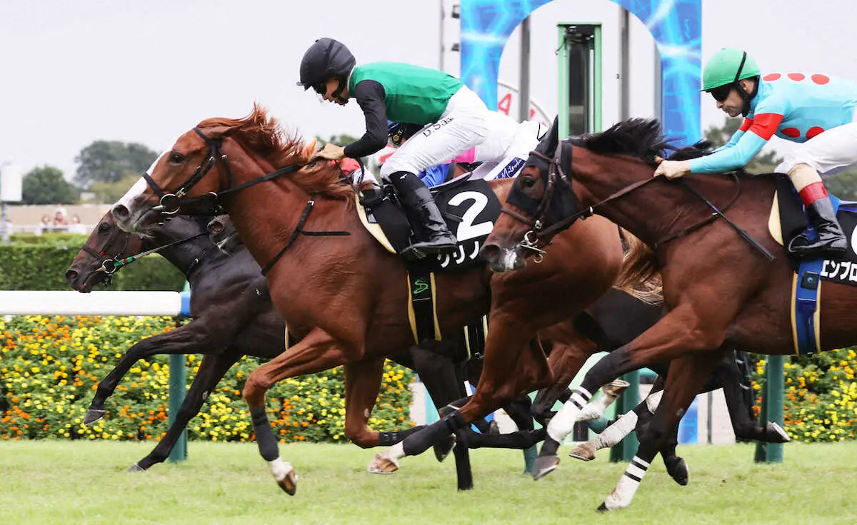 ＜中山9Rサフラン賞＞レースを制した（2）クリノメイ（撮影・村上　大輔）