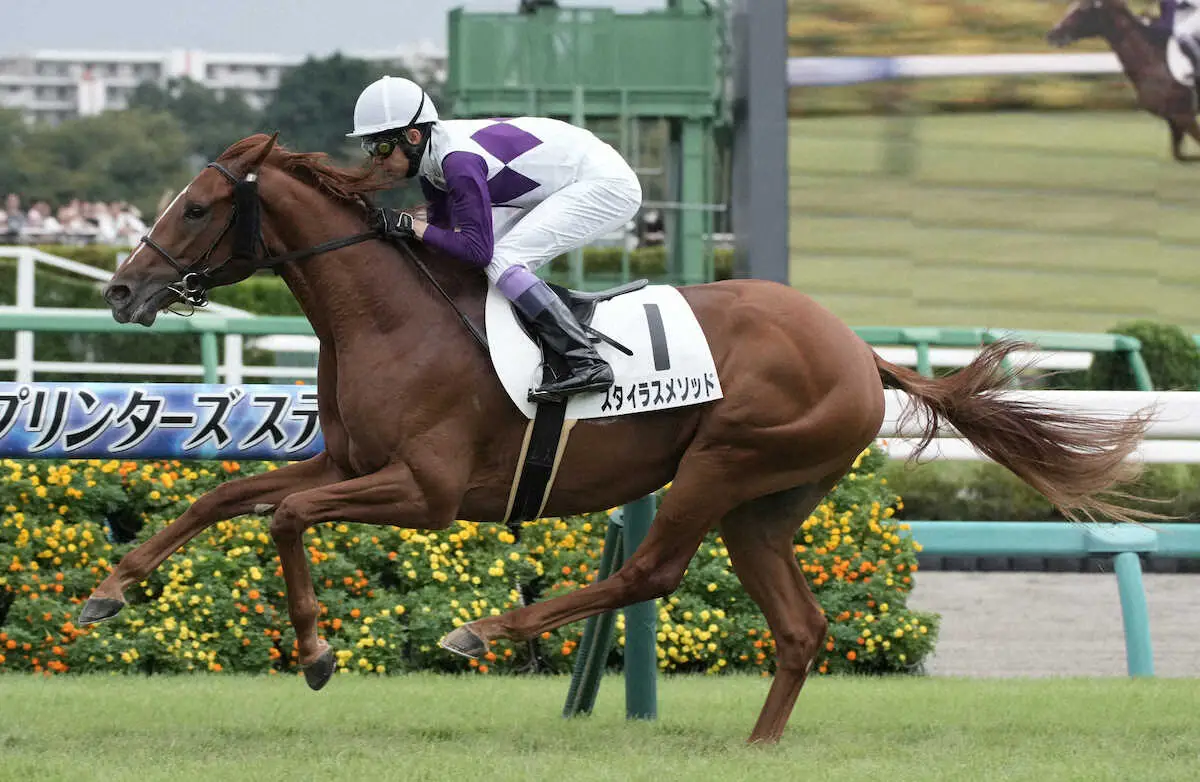 ＜中山5R新馬戦＞レースを制したスタイラスメソッド（撮影・郡司　修）