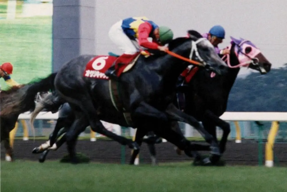 89年の毎日王冠、1着はオグリキャップ、右は2着のイナリワン