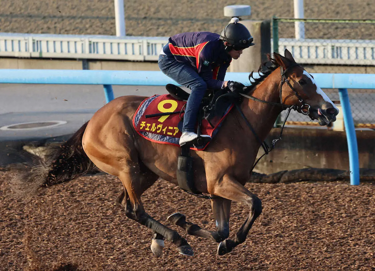 Wコースで追い切るチェルヴィニア（撮影・郡司　修）
