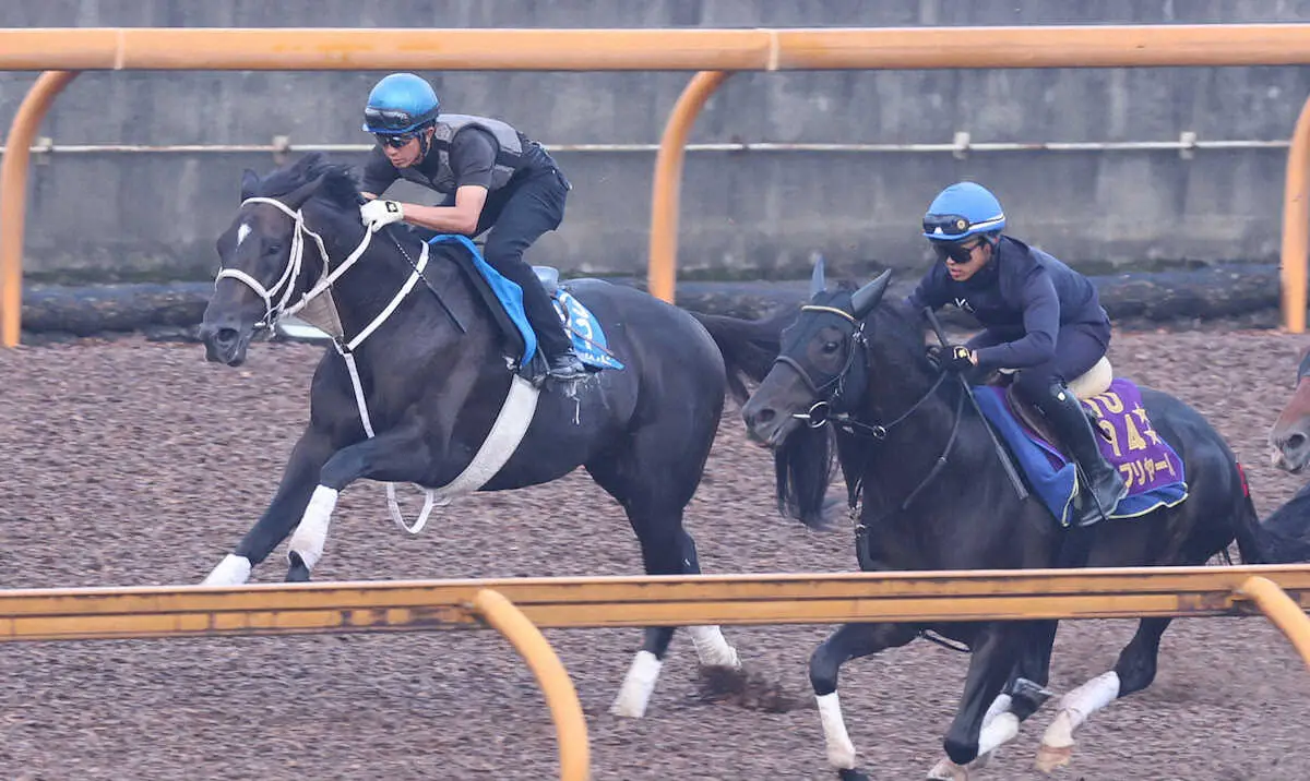 幸を背にCWコースで追い切るディープボンド（左）（撮影・亀井　直樹）