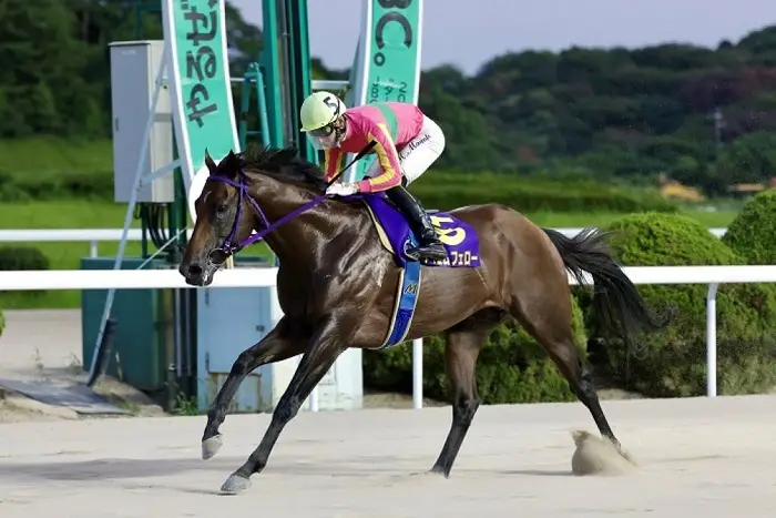 重賞3連覇を達成するなど佐賀勢同士なら勝負強さは一枚上のテイエムフェロー