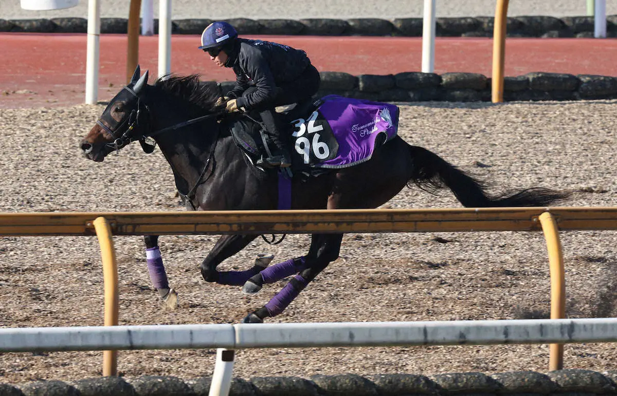 川田を背にCWコースで追い切るショウヘイ（撮影・亀井直樹）　