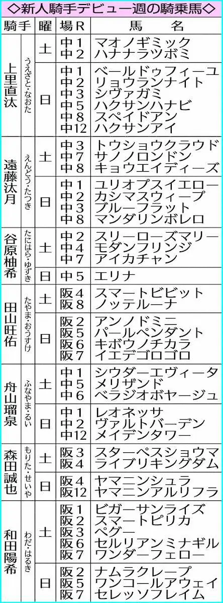 新人騎手デビュー週の騎乗馬