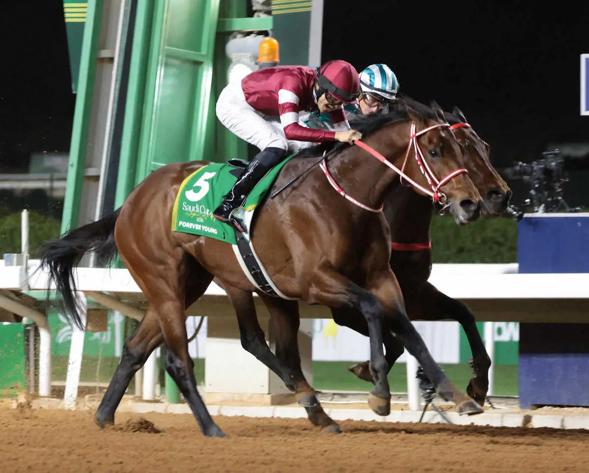 2月のサウジCでロマンチックウォリアー（奧）との追い比べを制したフォーエバーヤング（撮影・坂田　高浩）