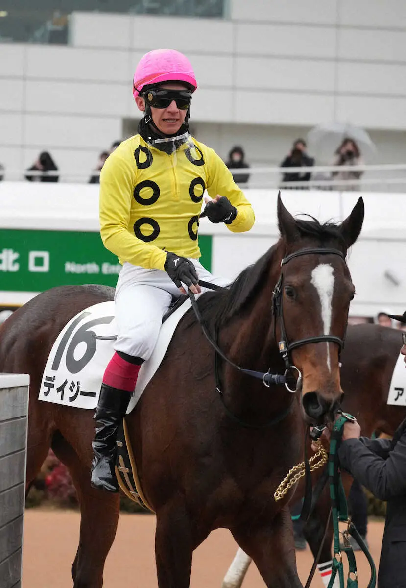＜中山12R　田中勝師初陣＞2着で終えたデイジー（撮影・郡司　修）