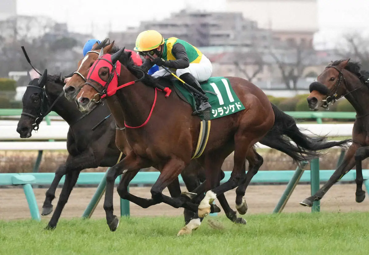 ＜中山11R　中山牝馬S＞3連勝で重賞初勝利を挙げたシランケド（撮影・郡司　修）