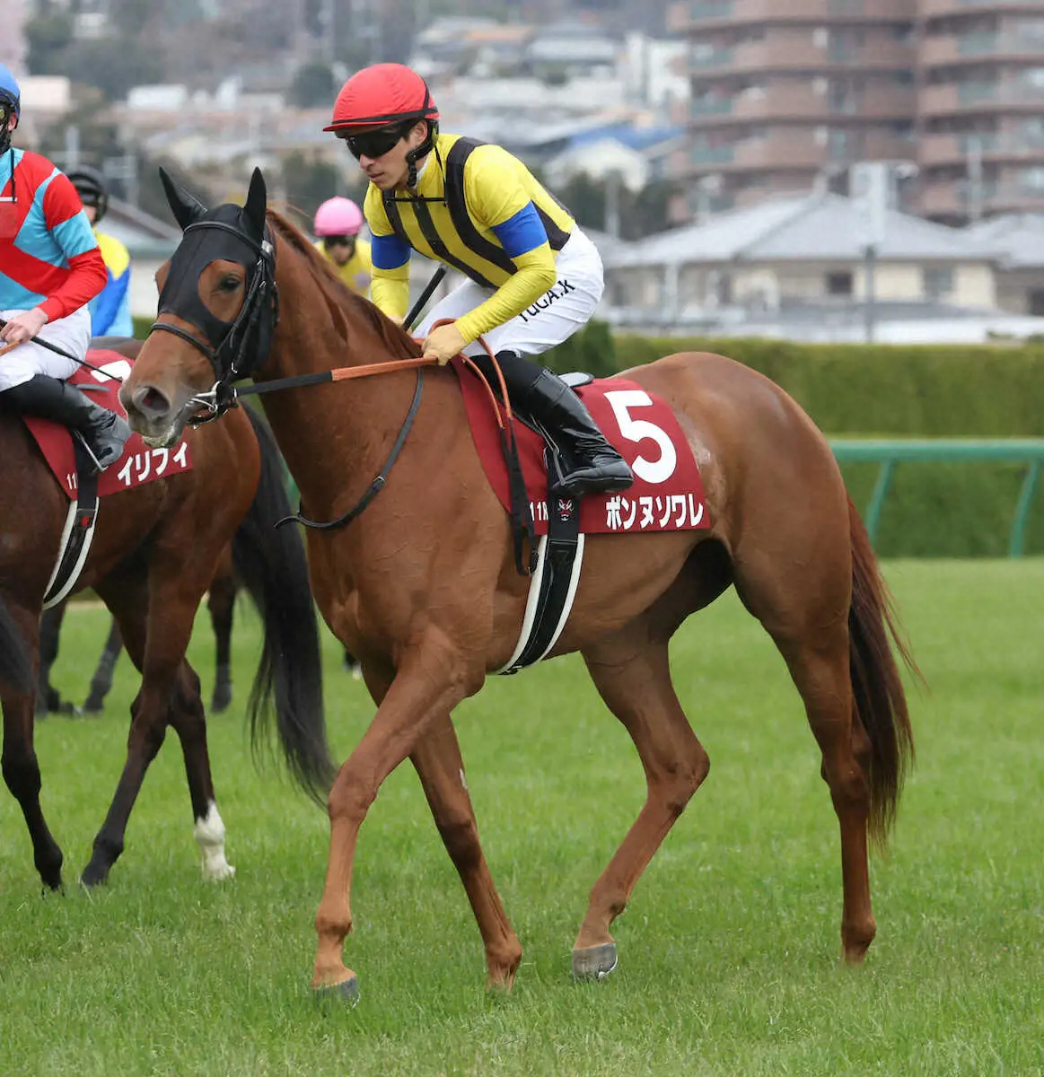 ＜阪神11R・フィリーズレビュー＞3着のボンヌソワレ（撮影・亀井　直樹）