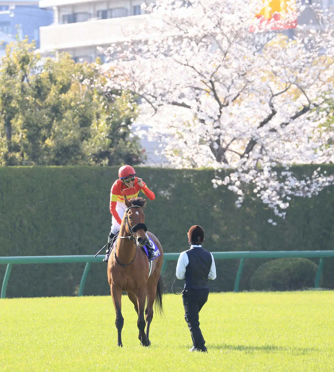 レースを制したベラジオオペラと横山和生騎手（撮影・中辻　颯太）