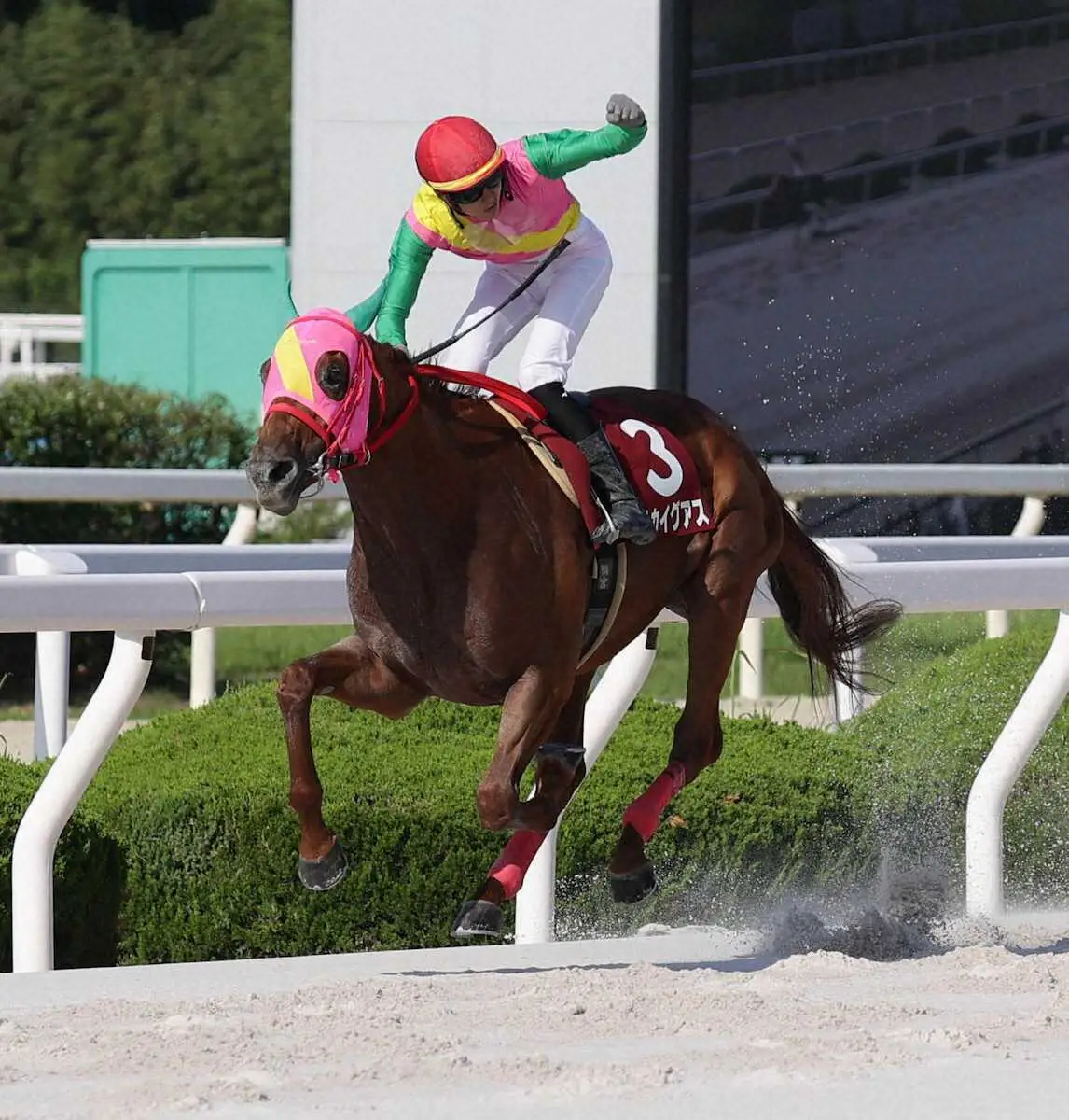 鴨宮がガッツポーズしながらゴールするマルカイグアス